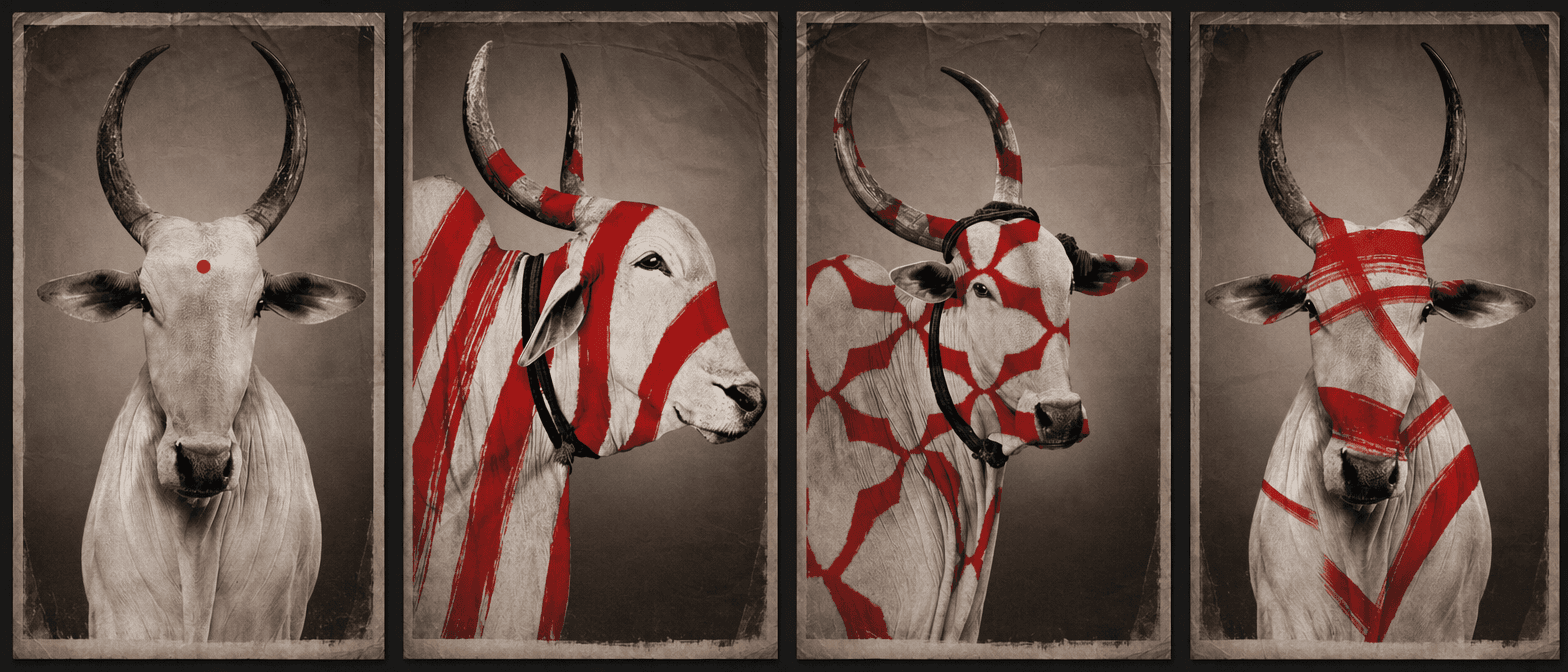 No-mad — Plaids & Portraits Casa Plume