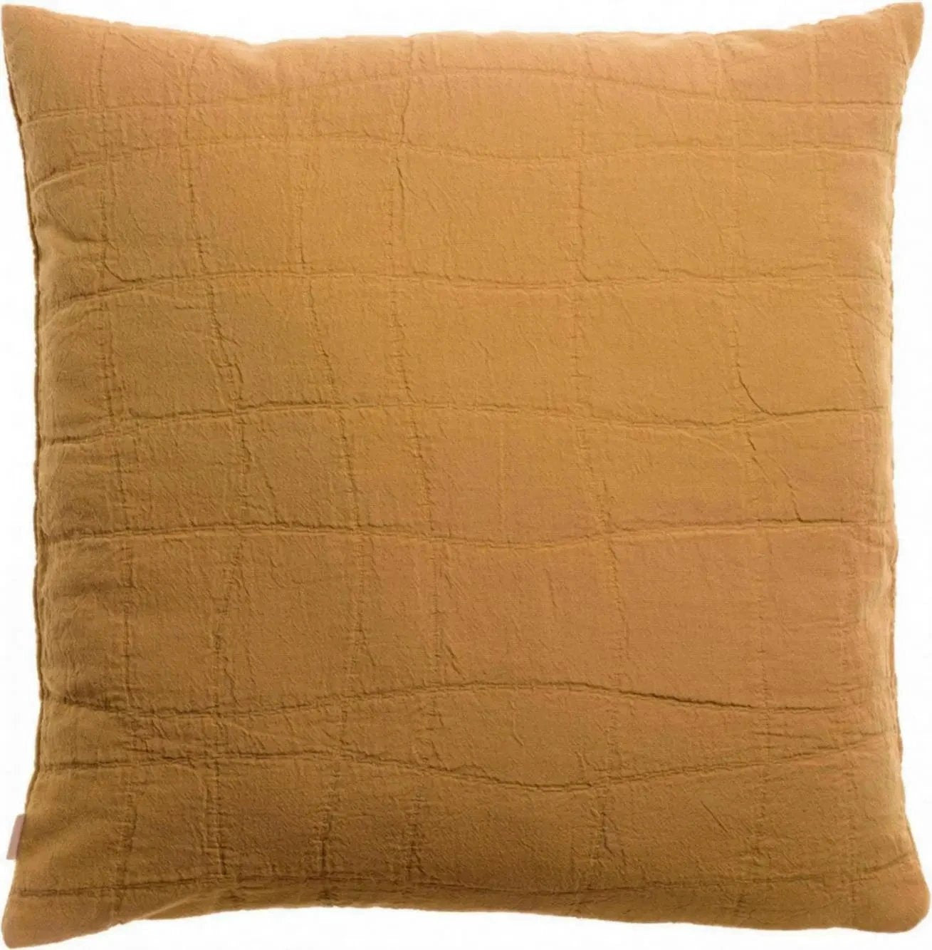 Coussin recyclé Titou by Vivaraise