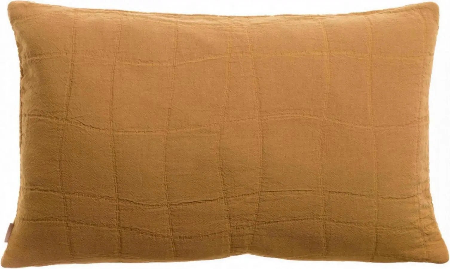 Coussin recyclé Titou by Vivaraise
