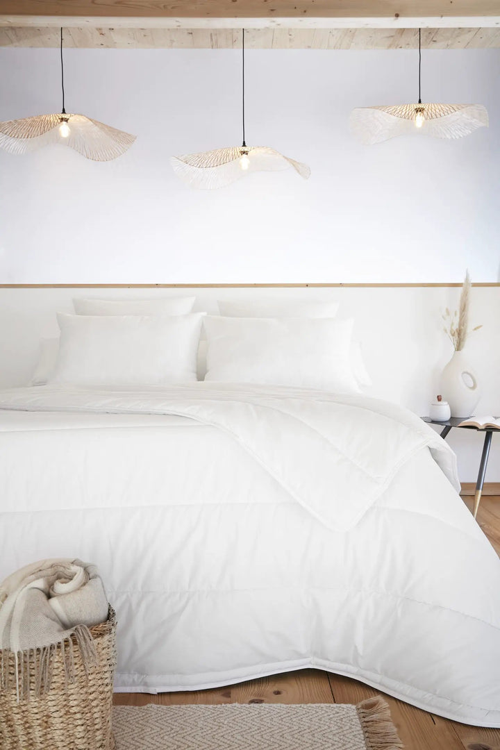 Couette Coton Anti acariens 240 x 220 cm CELESTE by L'effet papillon
