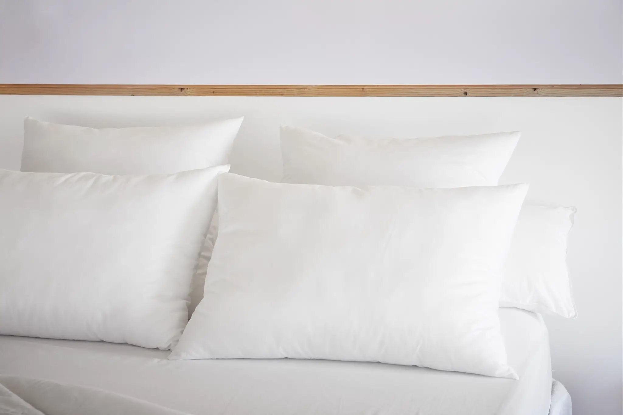 Oreiller Coton Anti acariens 50 x 70 cm SIRIUS by L'effet papillon