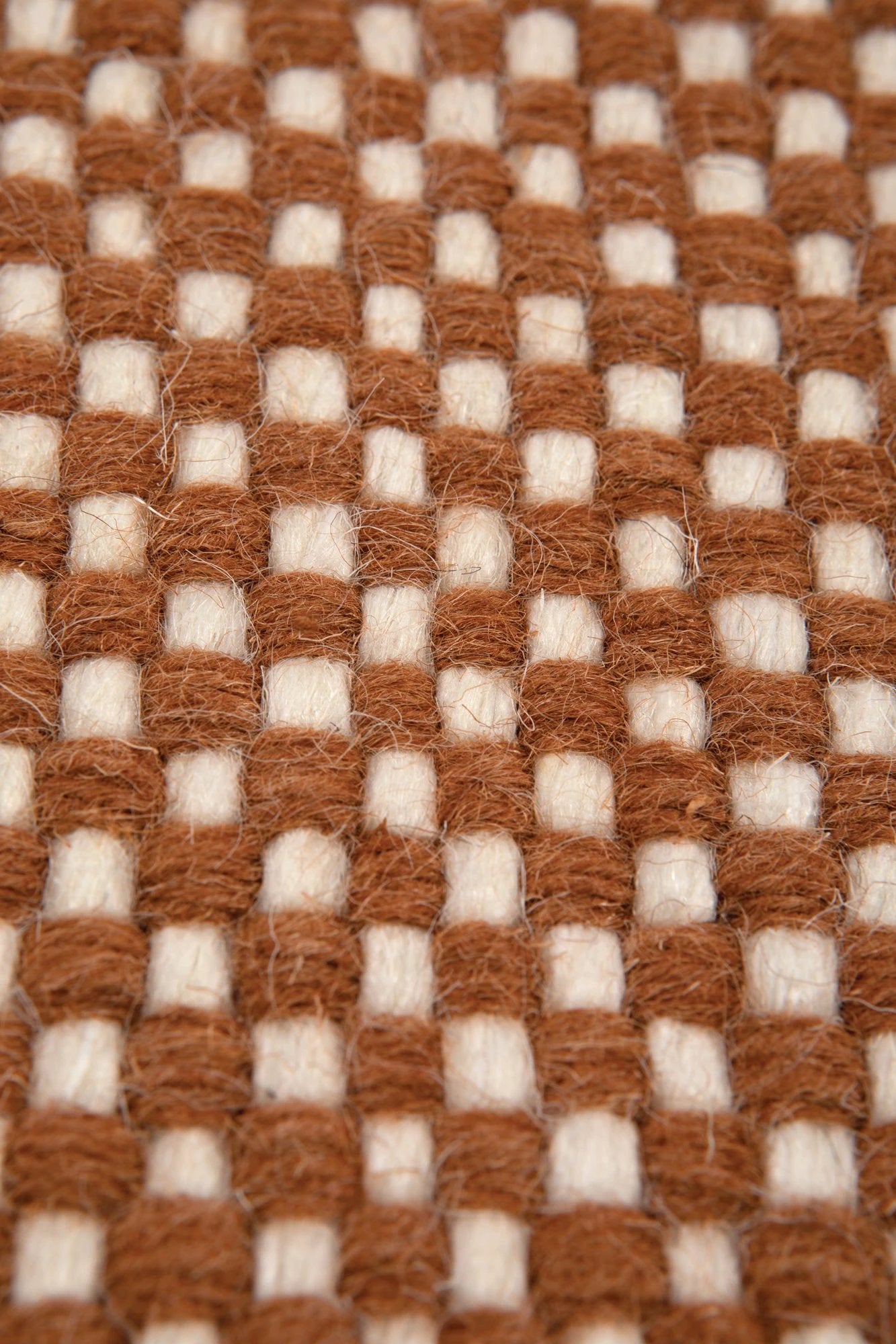 Tapis Xenia by Vivaraise