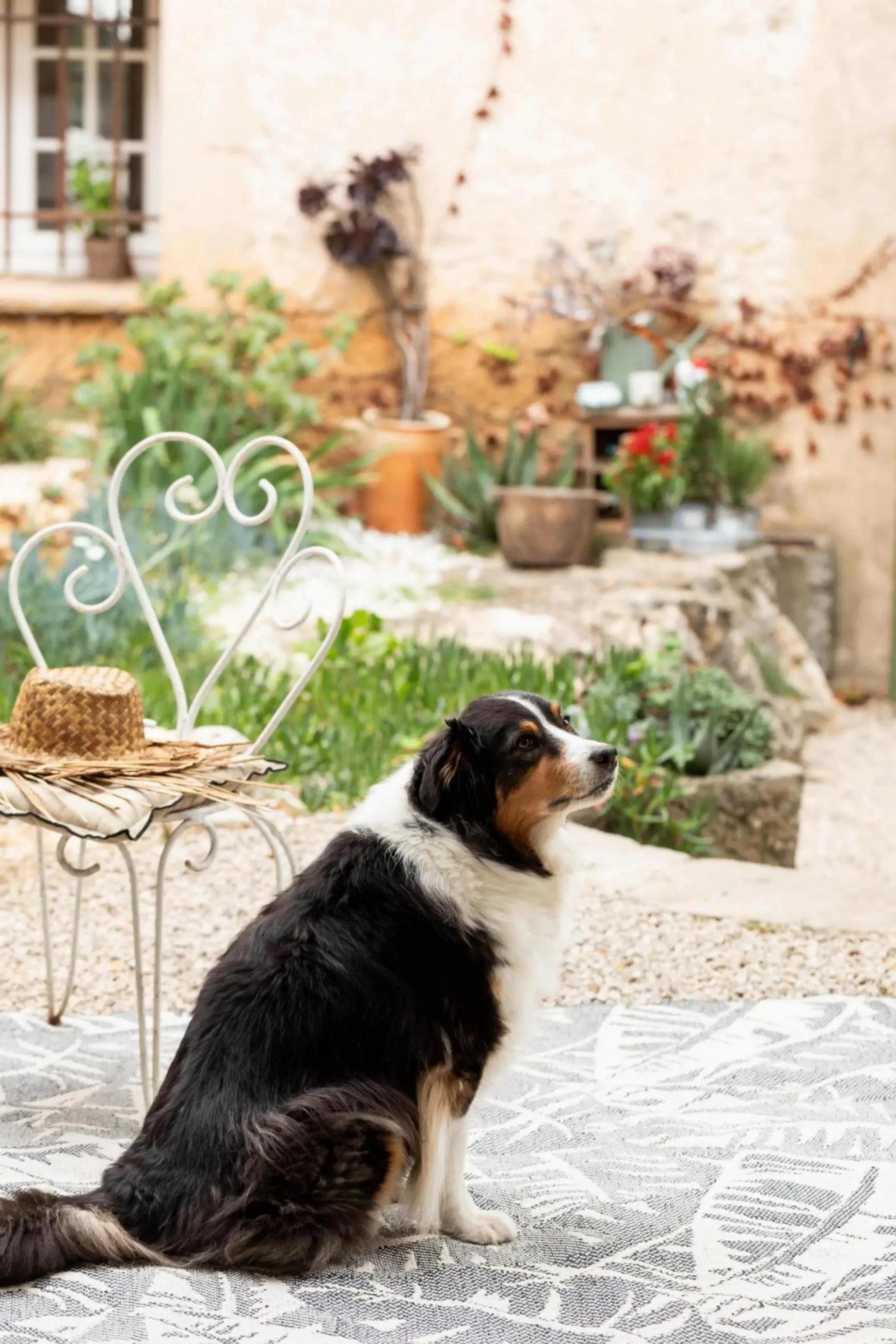 Tapis Amara outdoor by Vivaraise