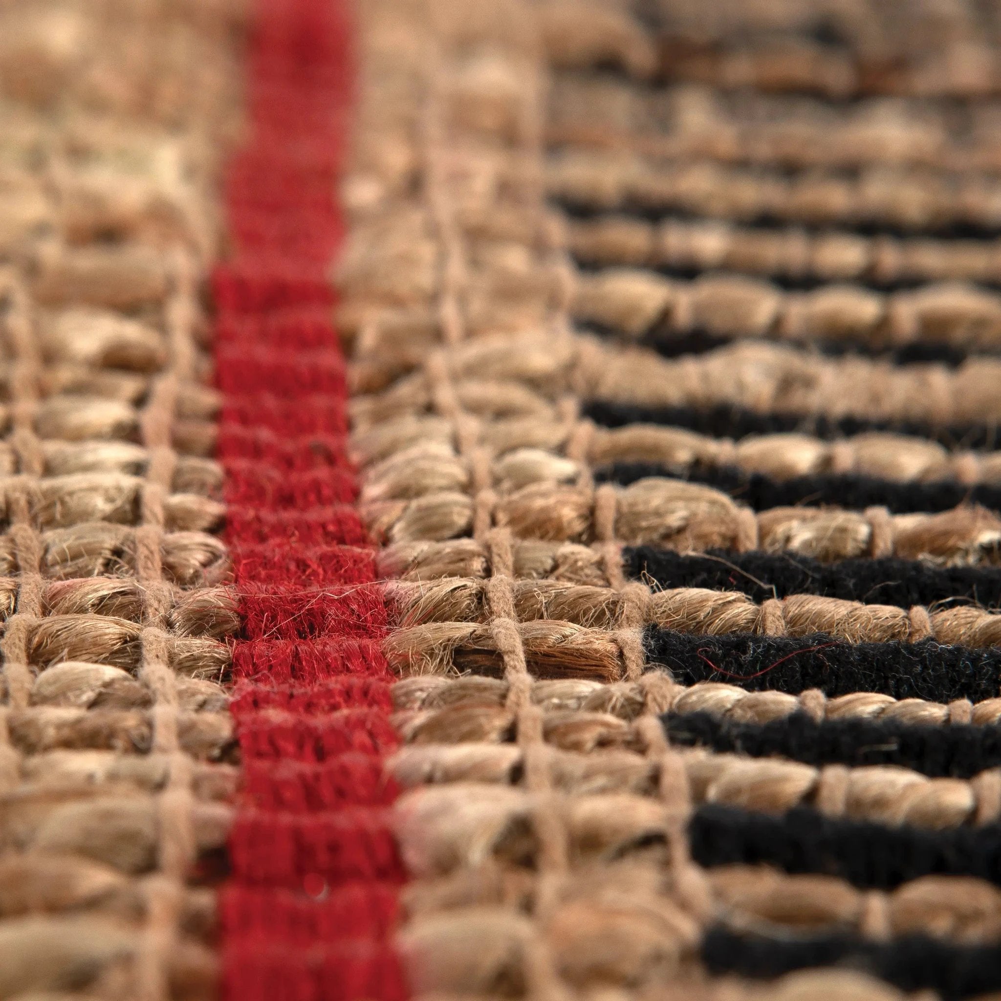Tapis Eden by Vivaraise