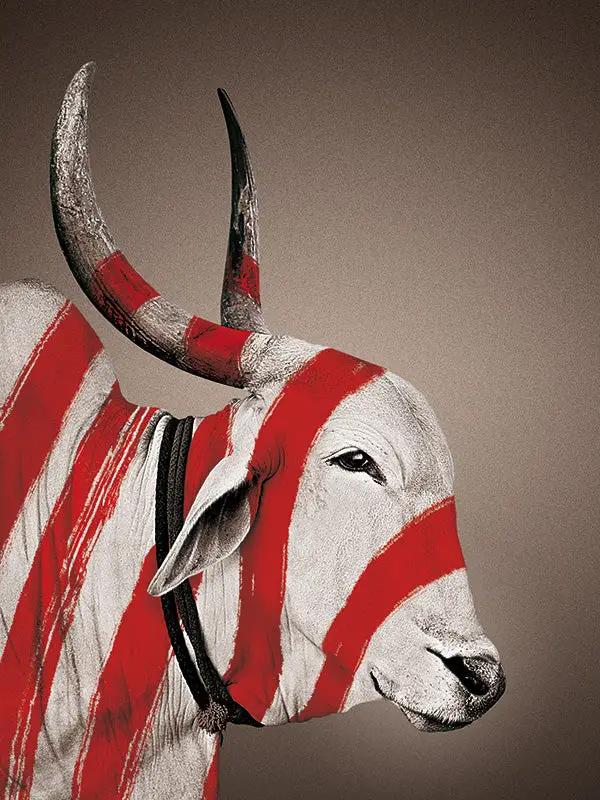 Portraits NANDI PATTA - Sans cadre - Rouge by No-mad
