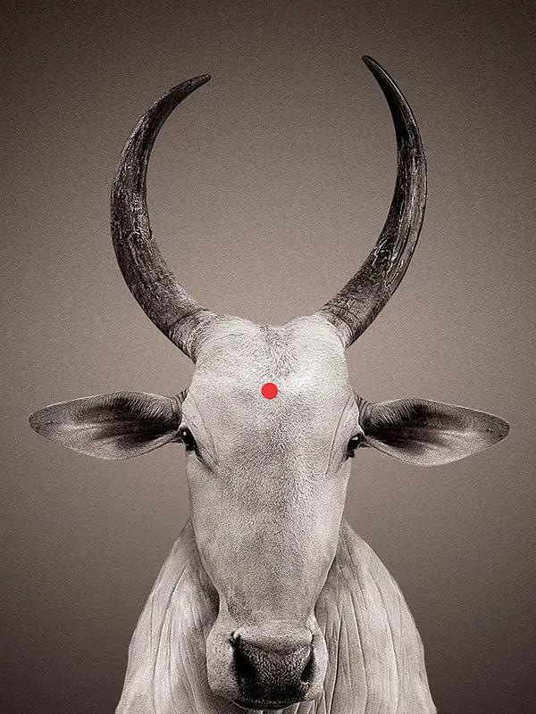 Portraits NANDI BINDI - Sans cadre - Gris by No-mad