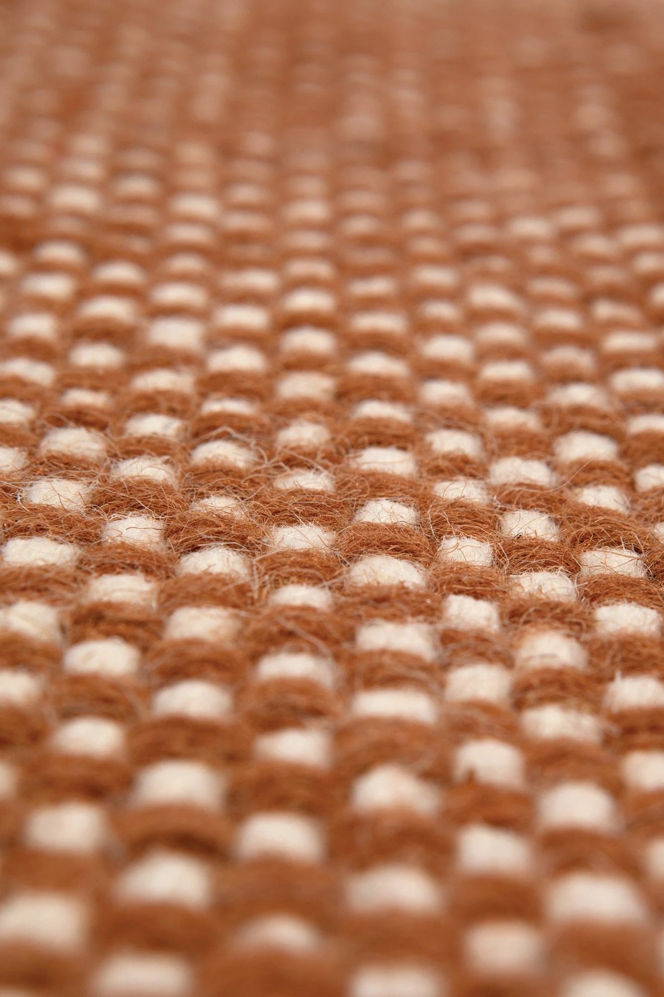 Tapis Xenia by Vivaraise